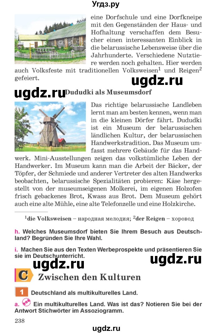 ГДЗ (Учебник) по немецкому языку 11 класс Будько А.Ф. / страница / 238