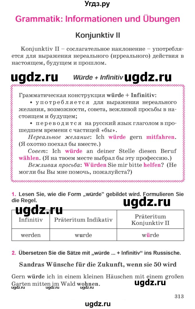 ГДЗ (Учебник) по немецкому языку 11 класс Будько А.Ф. / страница / 313