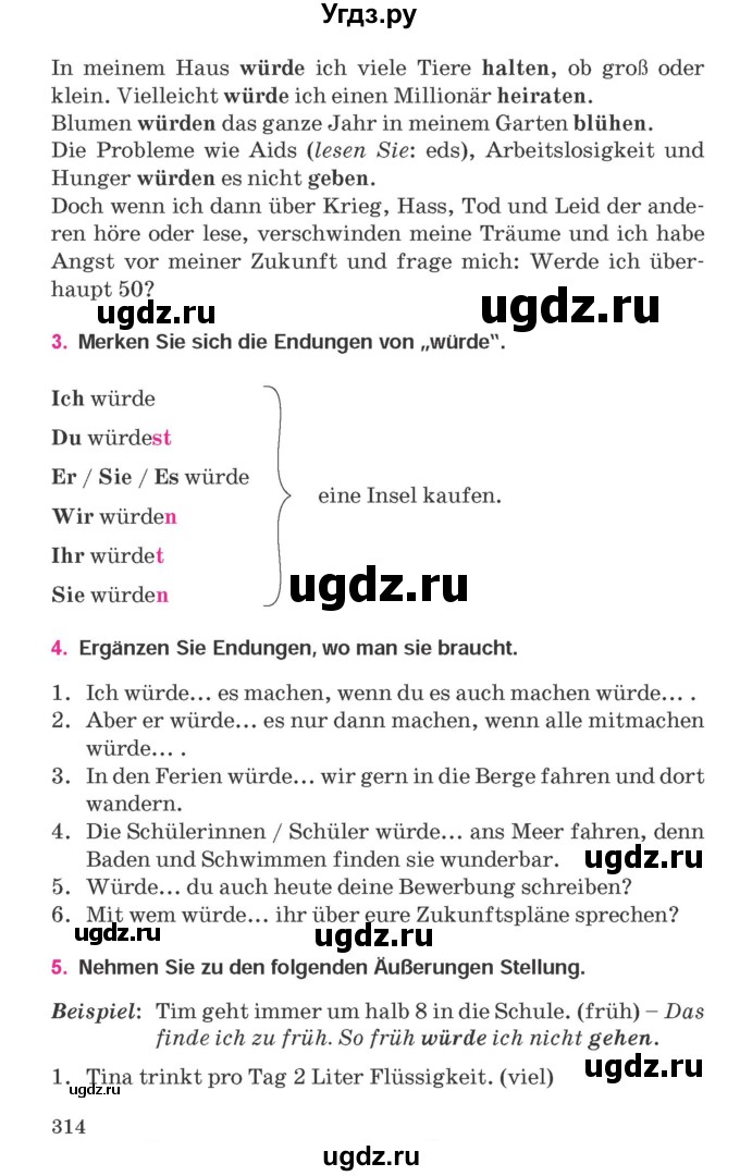 ГДЗ (Учебник) по немецкому языку 11 класс Будько А.Ф. / страница / 314