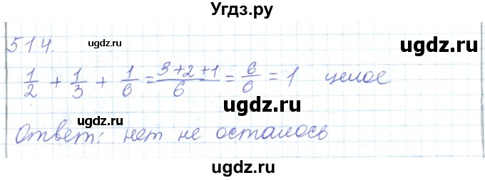 ГДЗ (Решебник) по математике 5 класс Алдамуратова Т.А. / упражнение / 514
