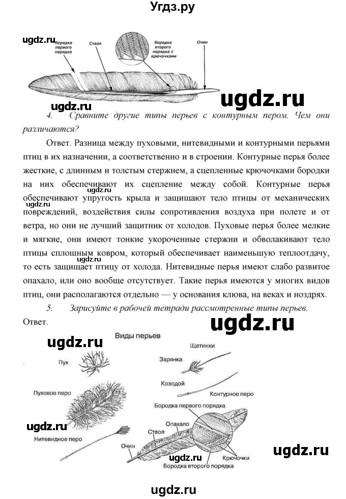 ГДЗ (Решебник) по биологии 7 класс Сивоглазов В.И. / параграф / 25(продолжение 11)