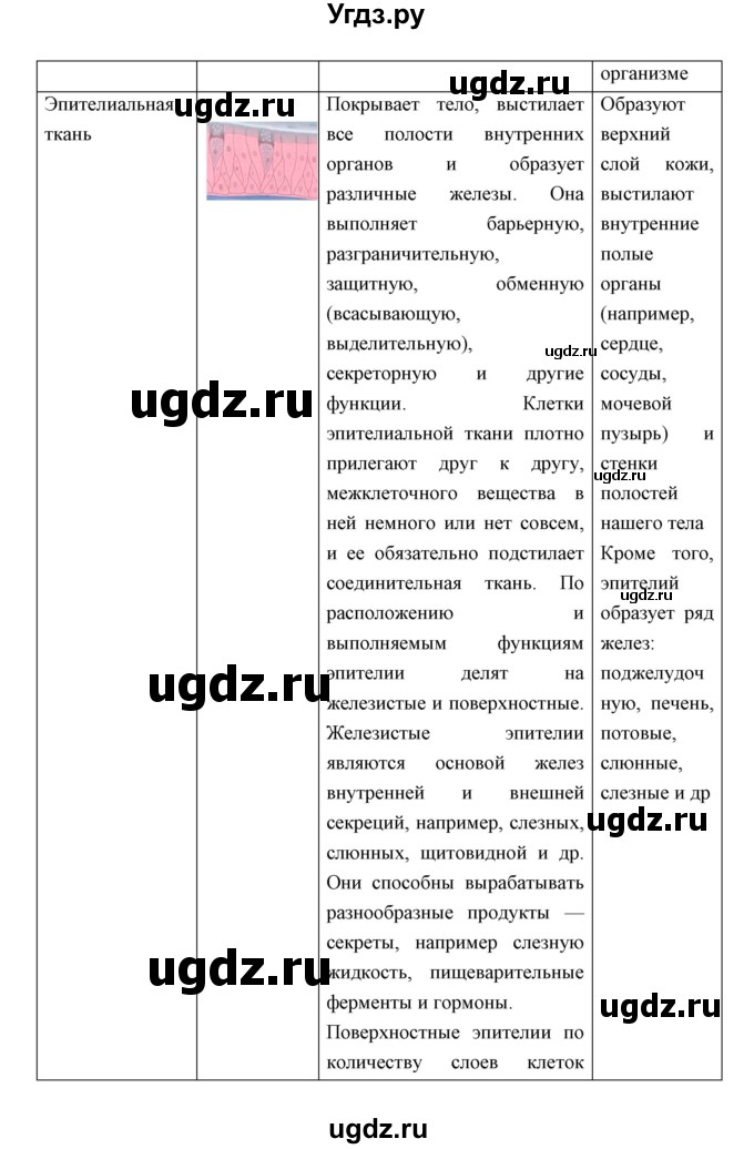 ГДЗ (Решебник) по биологии 8 класс Сивоглазов В.И. / параргаф / 5(продолжение 5)
