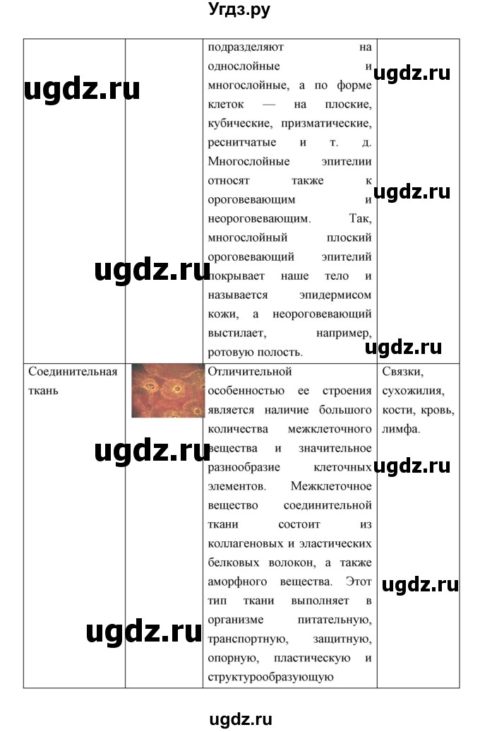 ГДЗ (Решебник) по биологии 8 класс Сивоглазов В.И. / параргаф / 5(продолжение 6)