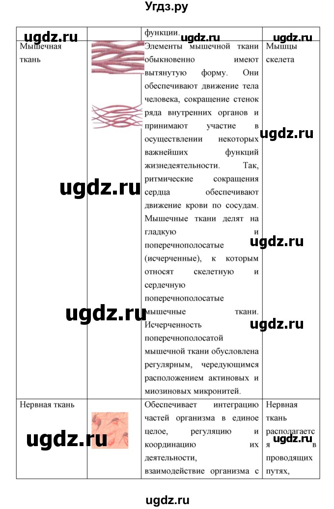 ГДЗ (Решебник) по биологии 8 класс Сивоглазов В.И. / параргаф / 5(продолжение 7)
