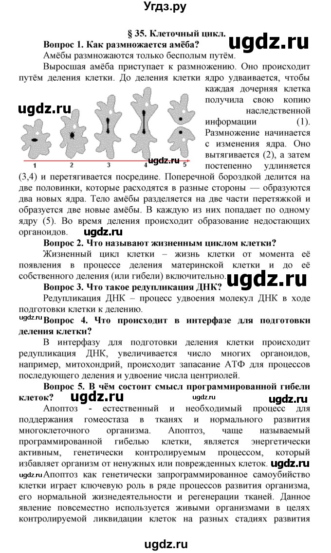 ГДЗ (Решебник) по биологии 10 класс Пасечник В.В. / параграф / 35