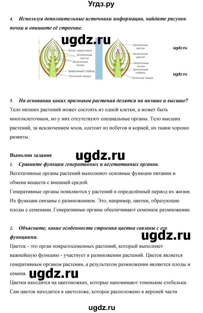 ГДЗ (Решебник) по биологии 5 класс Сивоглазов В.И. / параграф / 13(продолжение 2)