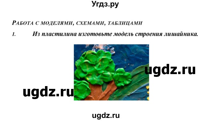 ГДЗ (Решебник) по биологии 5 класс Сивоглазов В.И. / параграф / 24(продолжение 8)