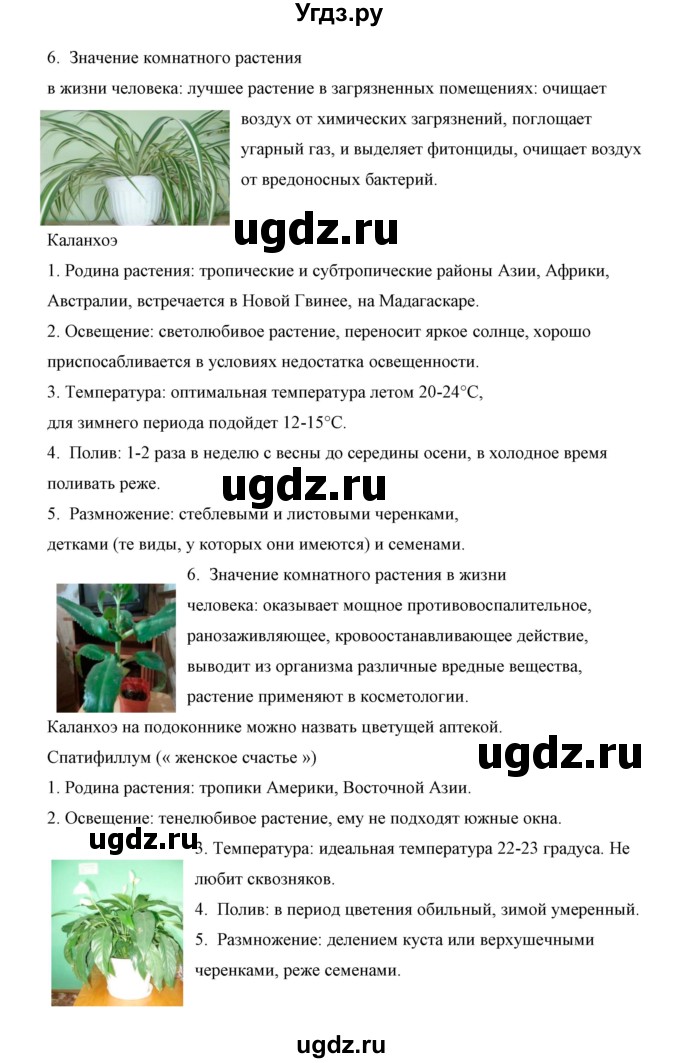 ГДЗ (Решебник) по биологии 5 класс Сивоглазов В.И. / параграф / 30(продолжение 17)