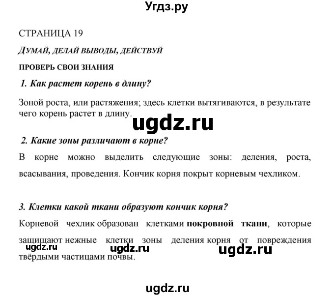 ГДЗ (Решебник) по биологии 6 класс Сивоглазов В. И. / страница / 19
