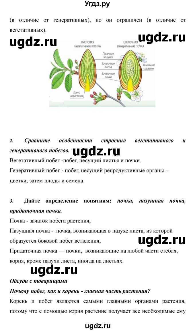 ГДЗ (Решебник) по биологии 6 класс Сивоглазов В. И. / страница / 24(продолжение 3)