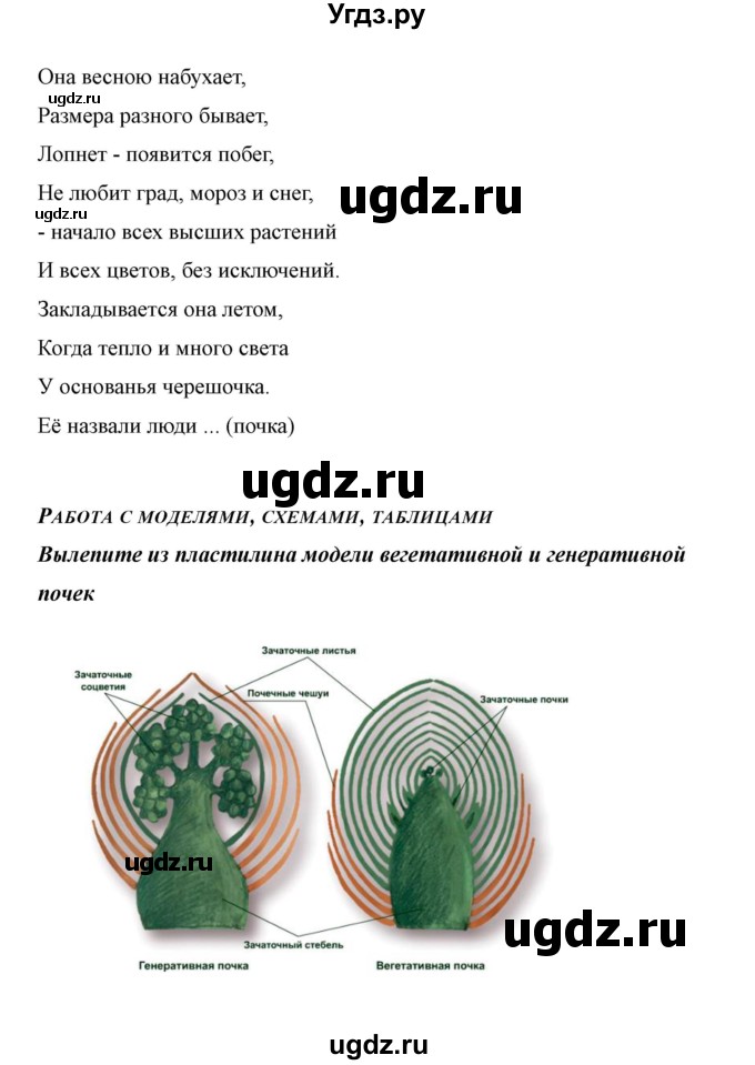 ГДЗ (Решебник) по биологии 6 класс Сивоглазов В. И. / страница / 24(продолжение 5)