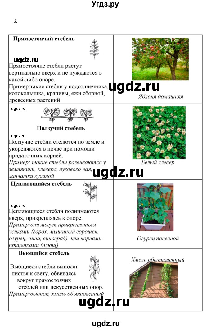 ГДЗ (Решебник) по биологии 6 класс Сивоглазов В. И. / страница / 28(продолжение 8)