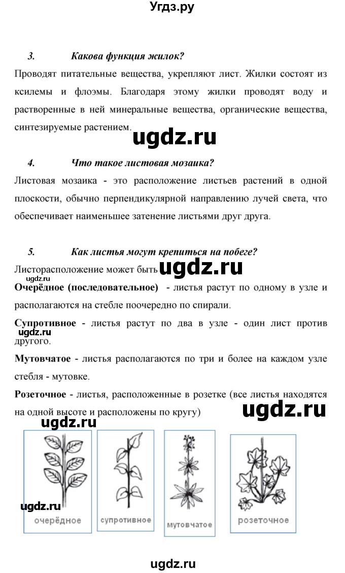 ГДЗ (Решебник) по биологии 6 класс Сивоглазов В. И. / страница / 37(продолжение 2)