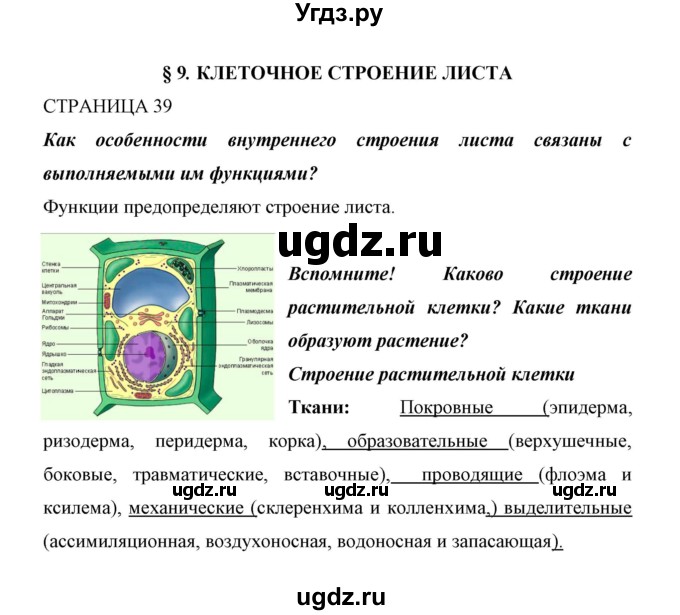 ГДЗ (Решебник) по биологии 6 класс Сивоглазов В. И. / страница / 39