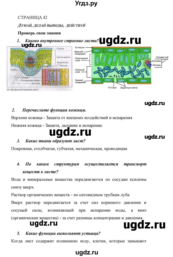 ГДЗ (Решебник) по биологии 6 класс Сивоглазов В. И. / страница / 42