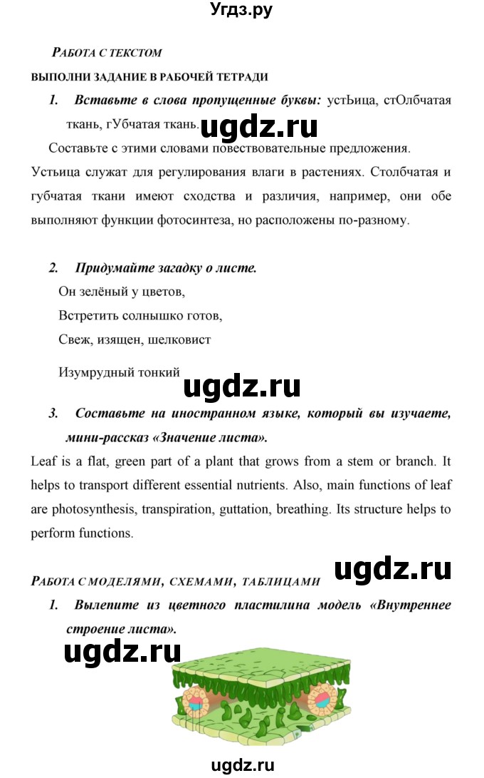 ГДЗ (Решебник) по биологии 6 класс Сивоглазов В. И. / страница / 42(продолжение 4)
