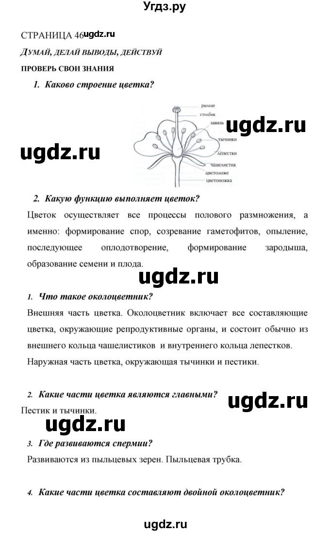 ГДЗ (Решебник) по биологии 6 класс Сивоглазов В. И. / страница / 46