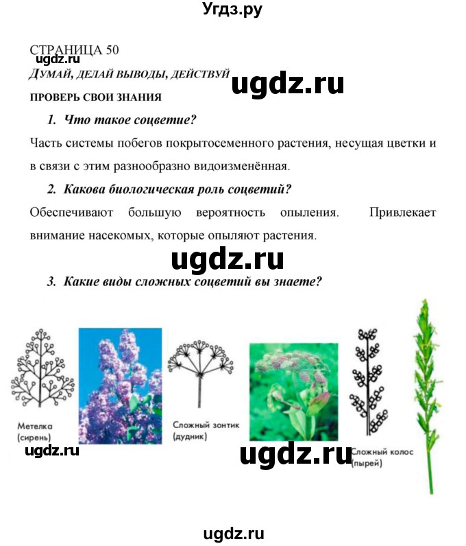 ГДЗ (Решебник) по биологии 6 класс Сивоглазов В. И. / страница / 50