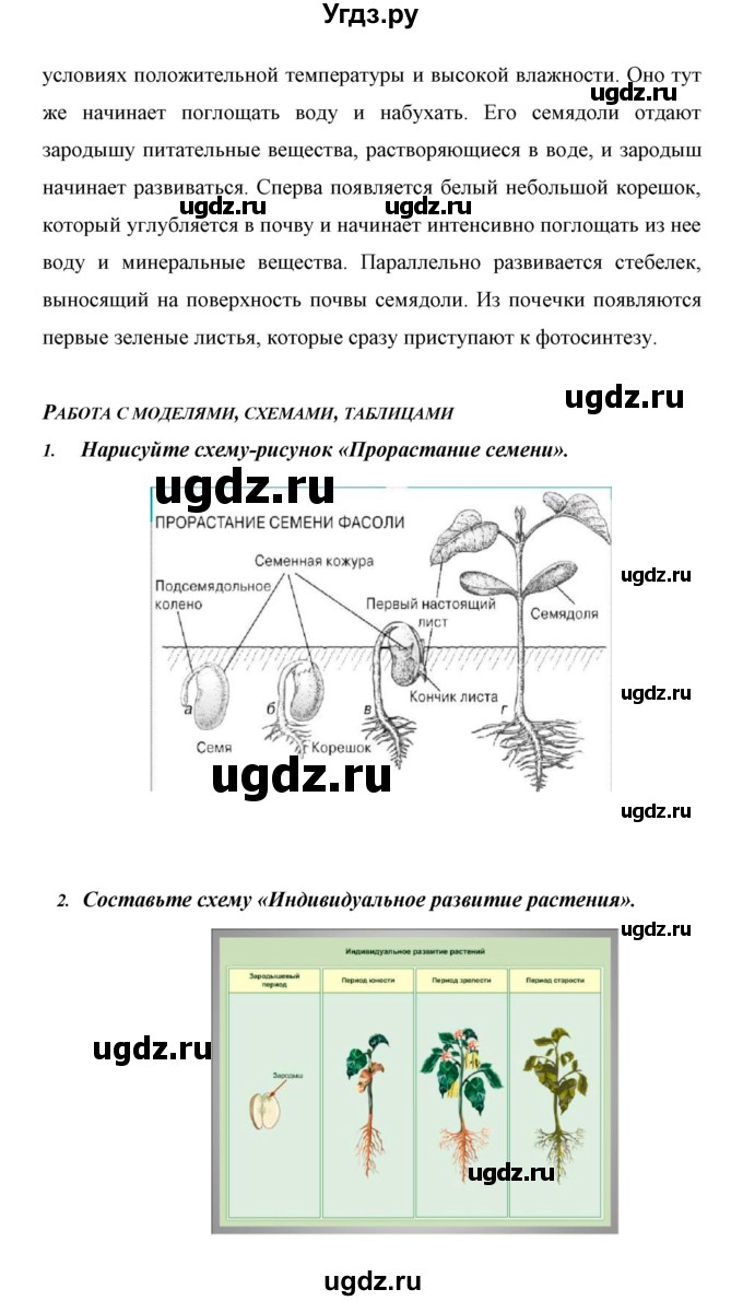 ГДЗ (Решебник) по биологии 6 класс Сивоглазов В. И. / страница / 96(продолжение 5)