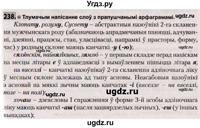 ГДЗ (Решебник №2) по белорусскому языку 9 класс Валочка Г.М. / практыкаванне / 238