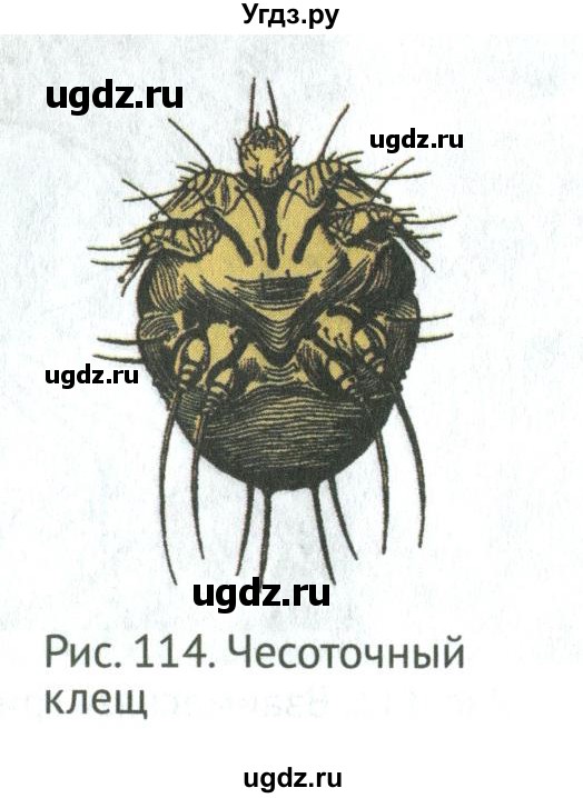 ГДЗ (Учебник) по биологии 5 класс (Организмы) Никишов А.И. / страница / 103(продолжение 3)