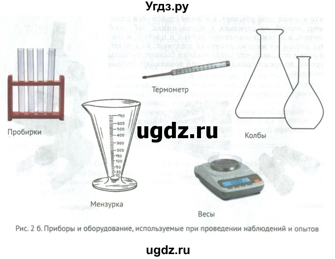 ГДЗ (Учебник) по биологии 5 класс (Организмы) Никишов А.И. / страница / 11(продолжение 4)