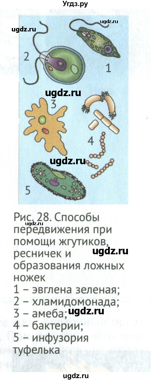 ГДЗ (Учебник) по биологии 5 класс (Организмы) Никишов А.И. / страница / 37(продолжение 2)