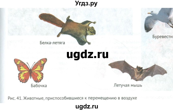 ГДЗ (Учебник) по биологии 5 класс (Организмы) Никишов А.И. / страница / 51(продолжение 3)