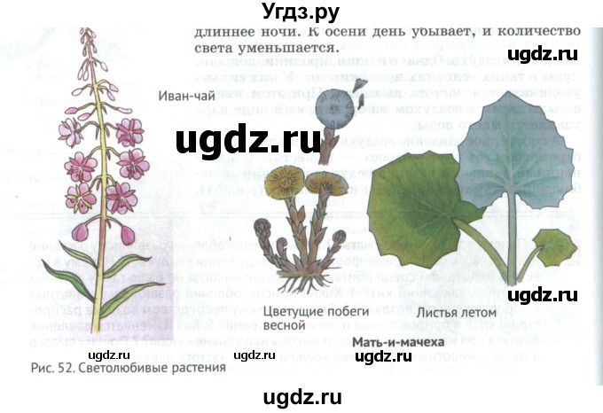 ГДЗ (Учебник) по биологии 5 класс (Организмы) Никишов А.И. / страница / 60(продолжение 3)