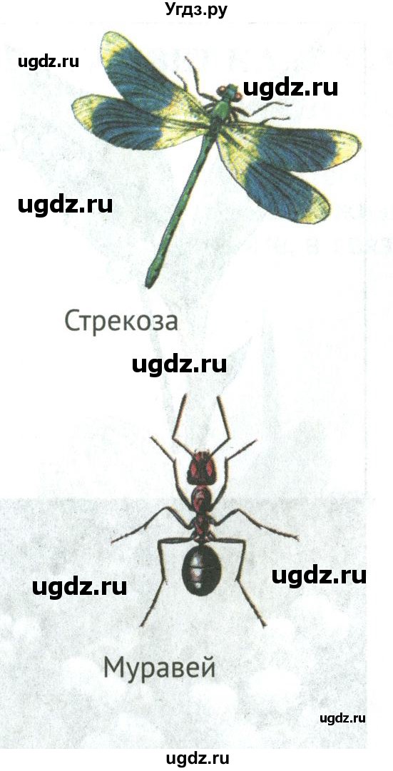 ГДЗ (Учебник) по биологии 5 класс (Организмы) Никишов А.И. / страница / 60(продолжение 6)