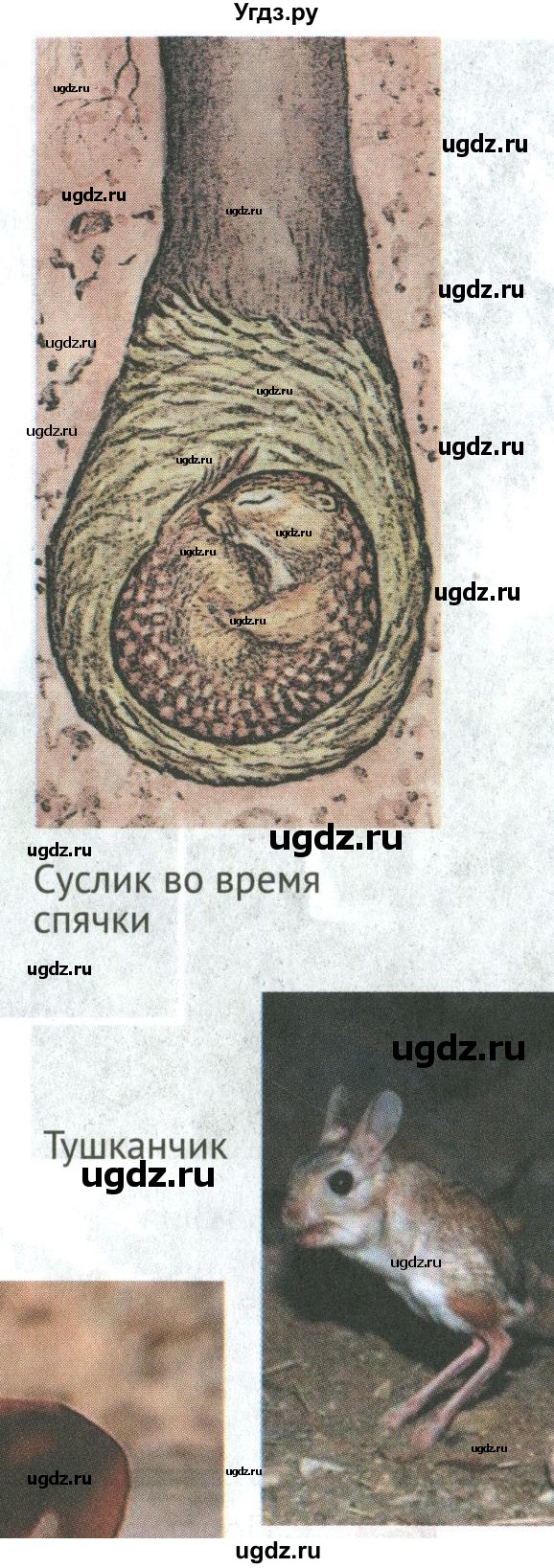 ГДЗ (Учебник) по биологии 5 класс (Организмы) Никишов А.И. / страница / 65(продолжение 8)