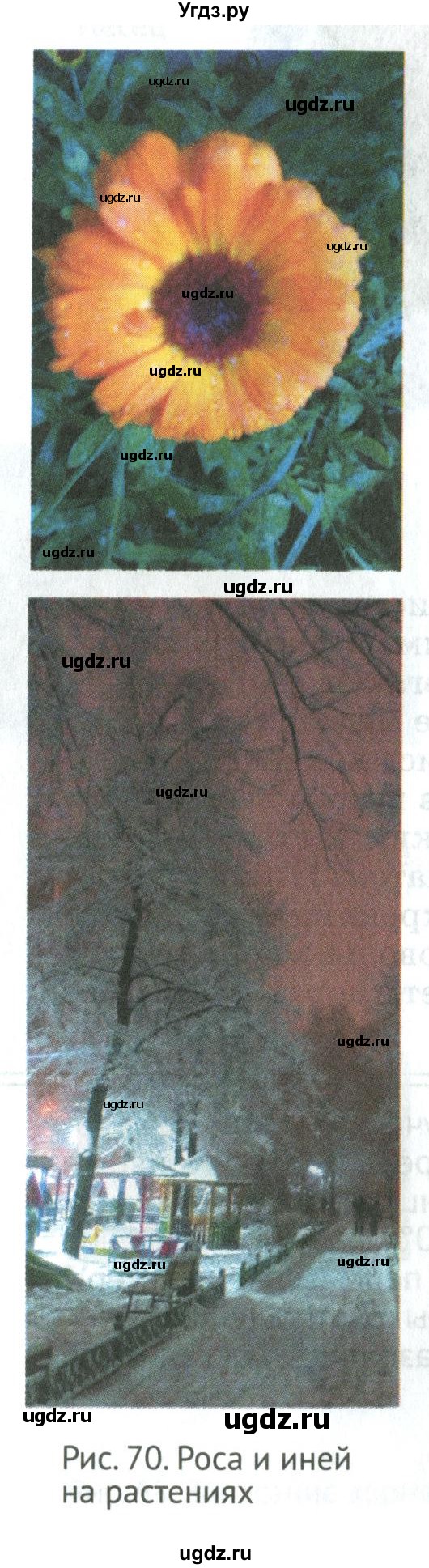 ГДЗ (Учебник) по биологии 5 класс (Организмы) Никишов А.И. / страница / 72(продолжение 2)