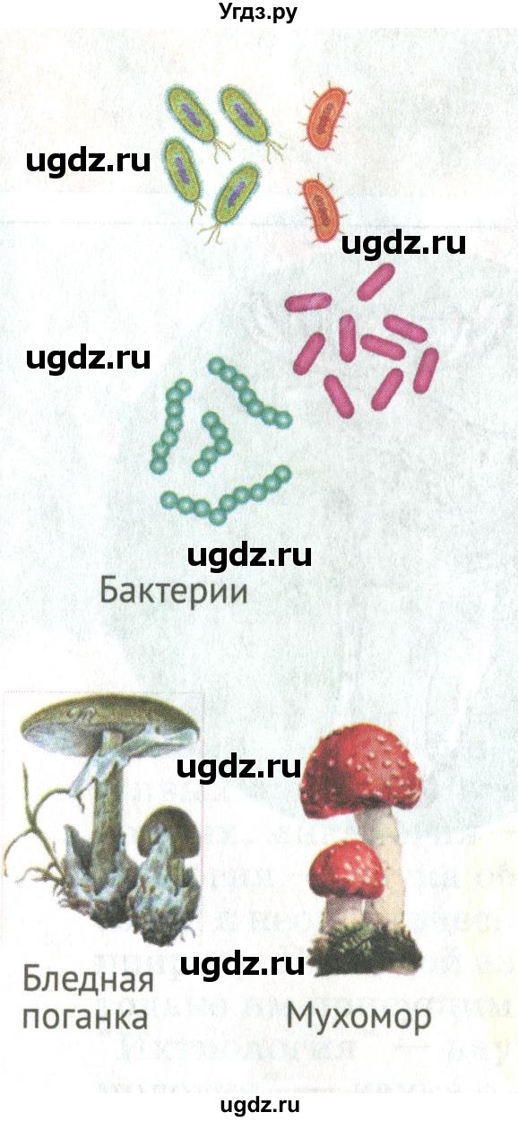 ГДЗ (Учебник) по биологии 5 класс (Организмы) Никишов А.И. / страница / 8(продолжение 2)