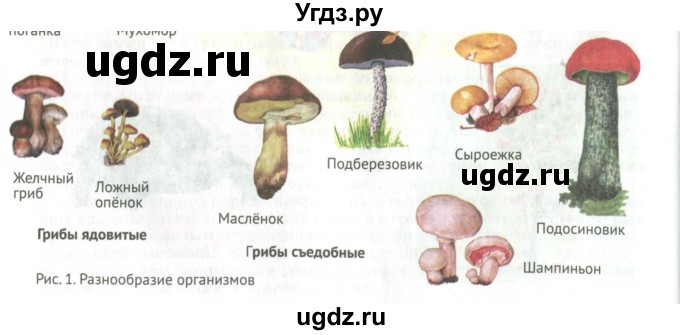 ГДЗ (Учебник) по биологии 5 класс (Организмы) Никишов А.И. / страница / 8(продолжение 3)