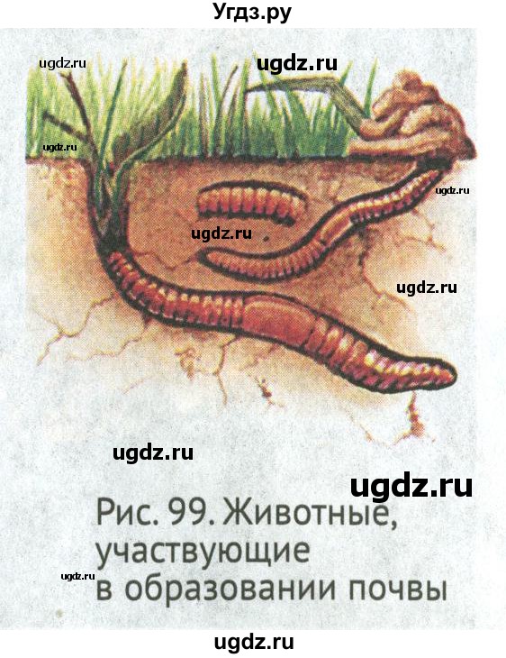 ГДЗ (Учебник) по биологии 5 класс (Организмы) Никишов А.И. / страница / 93(продолжение 5)