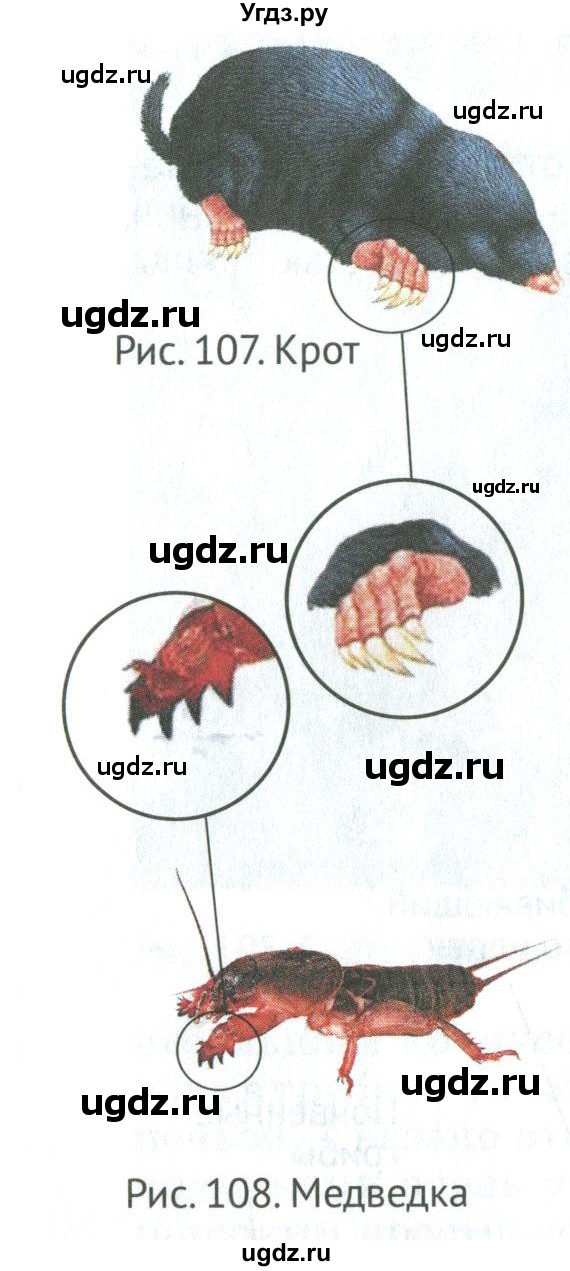ГДЗ (Учебник) по биологии 5 класс (Организмы) Никишов А.И. / страница / 99(продолжение 3)
