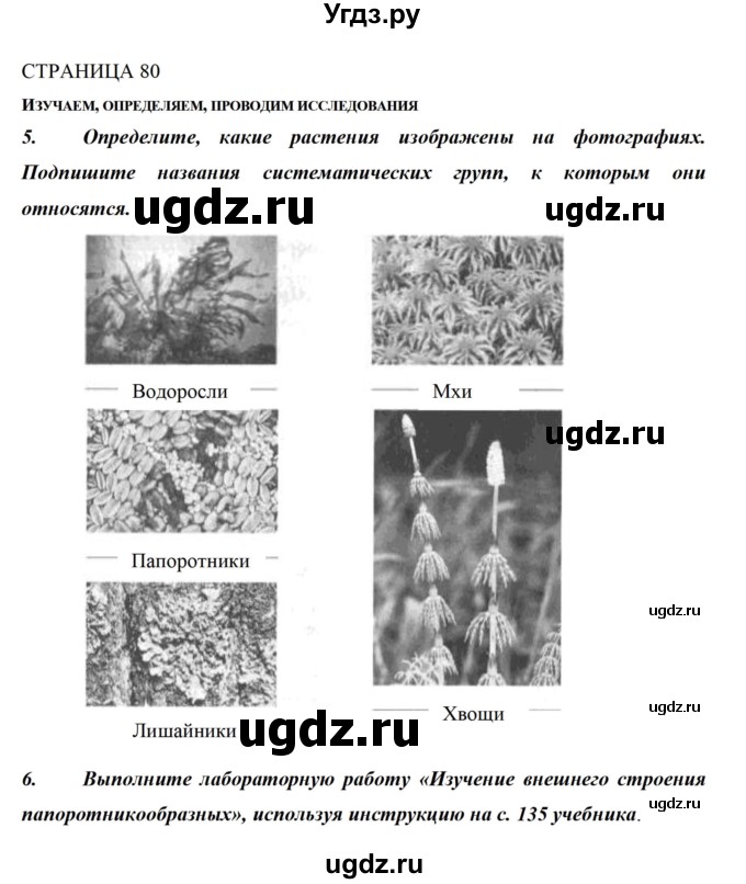 ГДЗ (Решебник) по биологии 5 класс (рабочая тетрадь) Сивоглазов В.И. / страница / 80