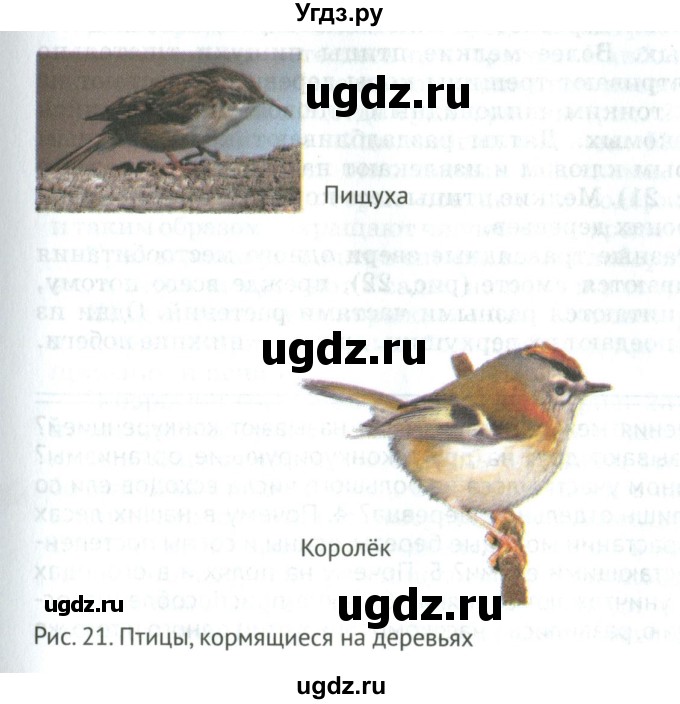 ГДЗ (Учебник) по биологии 6 класс Никишов А.И. / страница / 18(продолжение 7)