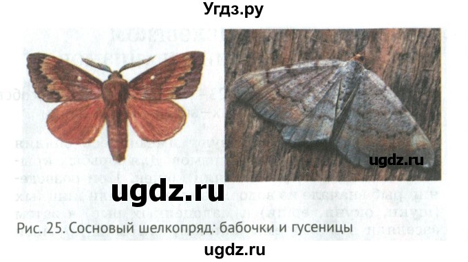 ГДЗ (Учебник) по биологии 6 класс Никишов А.И. / страница / 23(продолжение 3)