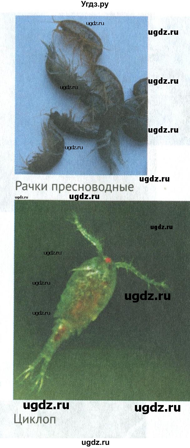 ГДЗ (Учебник) по биологии 6 класс Никишов А.И. / страница / 36(продолжение 3)