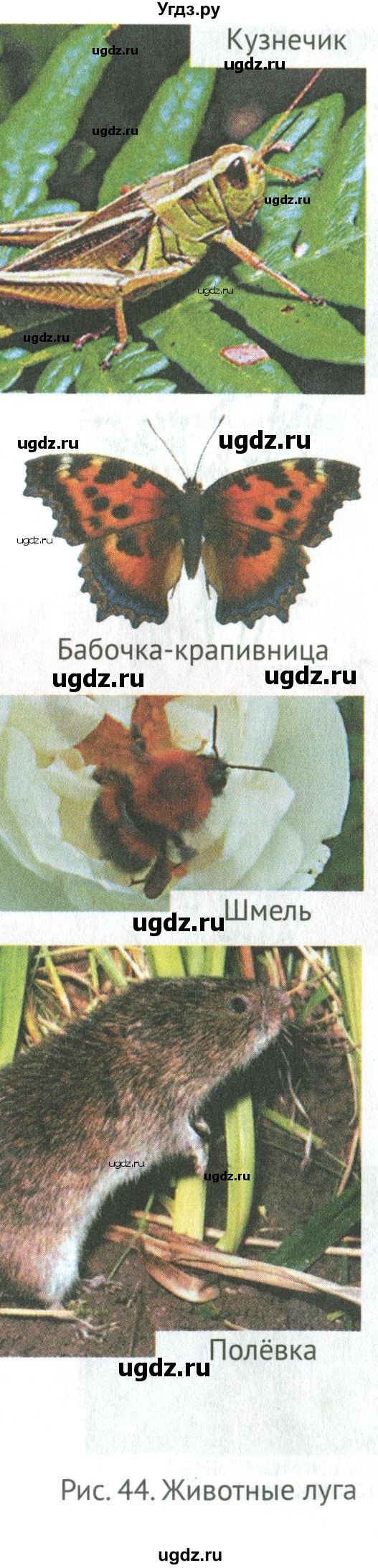 ГДЗ (Учебник) по биологии 6 класс Никишов А.И. / страница / 43(продолжение 4)