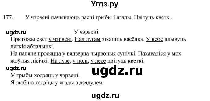 ГДЗ (Рашальнік) по белорусскому языку 2 класс (рабочая тетрадь) Свириденко В.И / практыкаванне / 177