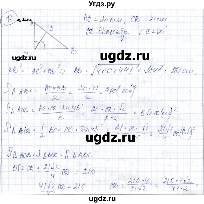 ГДЗ (Решебник) по геометрии 9 класс Солтан Г.Н. / задание / 12