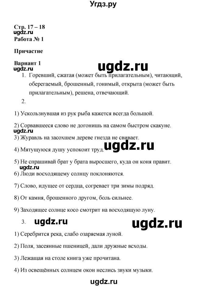ГДЗ (Решебник) по русскому языку 7 класс (зачётные работы) Л.А. Аксенова / страница / 17-18 Работа 1 (Вариант 1)