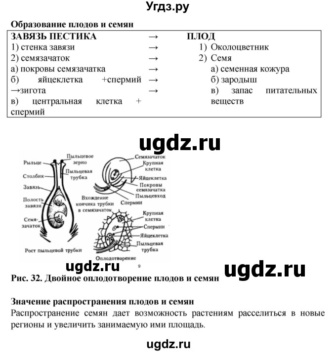 ГДЗ (Решебник) по биологии 6 класс (рабочая тетрадь) Бодрова Н.Ф. / страница / 36(продолжение 2)