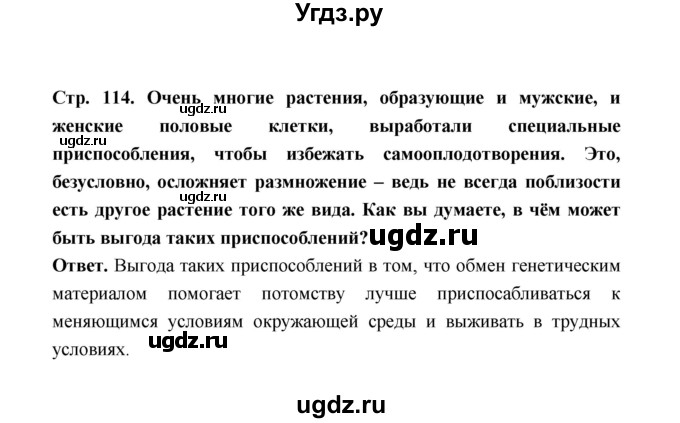 ГДЗ (Решебник) по биологии 10 класс Д.К. Беляев / параграф 24 (страница) / 114