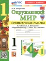 ГДЗ по Окружающему миру за 1 класс проверочные работы Погорелова Н.Ю. ГДЗ по Окружающему миру за 1 класс проверочные работы Погорелова Н.Ю.