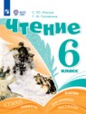 Чтение 6 класс Ильина С.Ю.