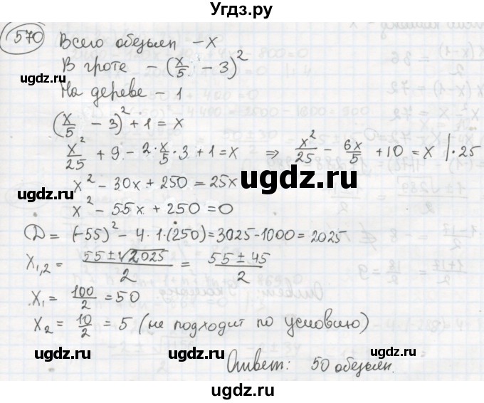 ГДЗ (Решебник №2 к учебнику 2015) по алгебре 8 класс Ю.Н. Макарычев / номер / 570