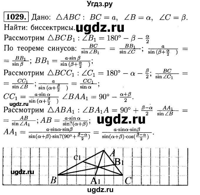 ГДЗ (Решебник №1 к учебнику 2016) по геометрии 7 класс Л.С. Атанасян / номер / 1029